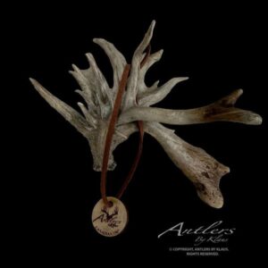 Canadian-156-Mini.edited-watermark