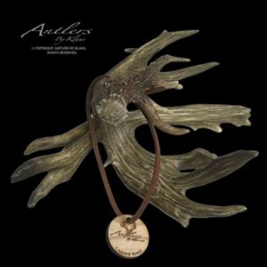 Carter-Shed-Mini.Watermarked