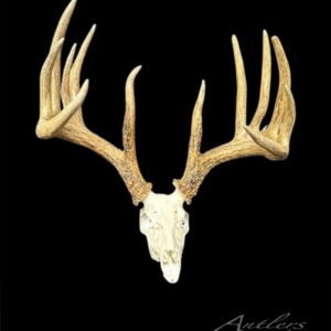 Johnny King Miniature