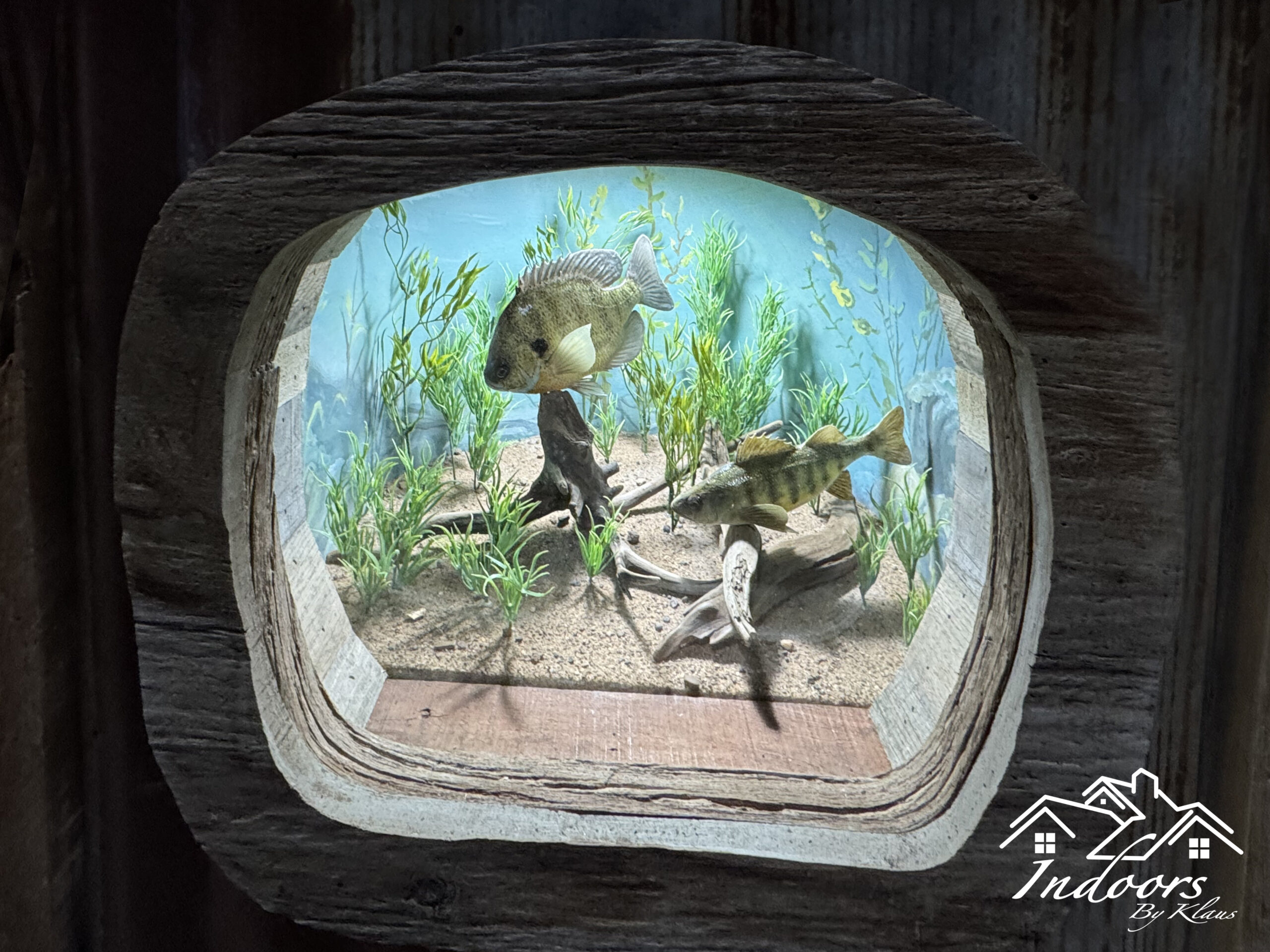 bar side fish w_ logo